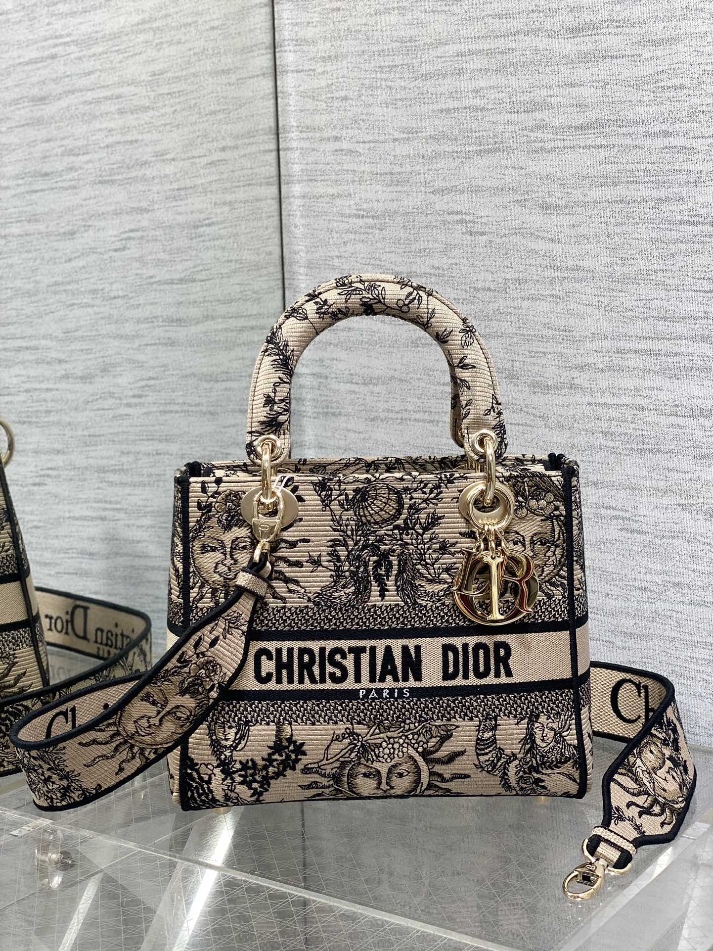 BAG-DIOR-W-LY-444