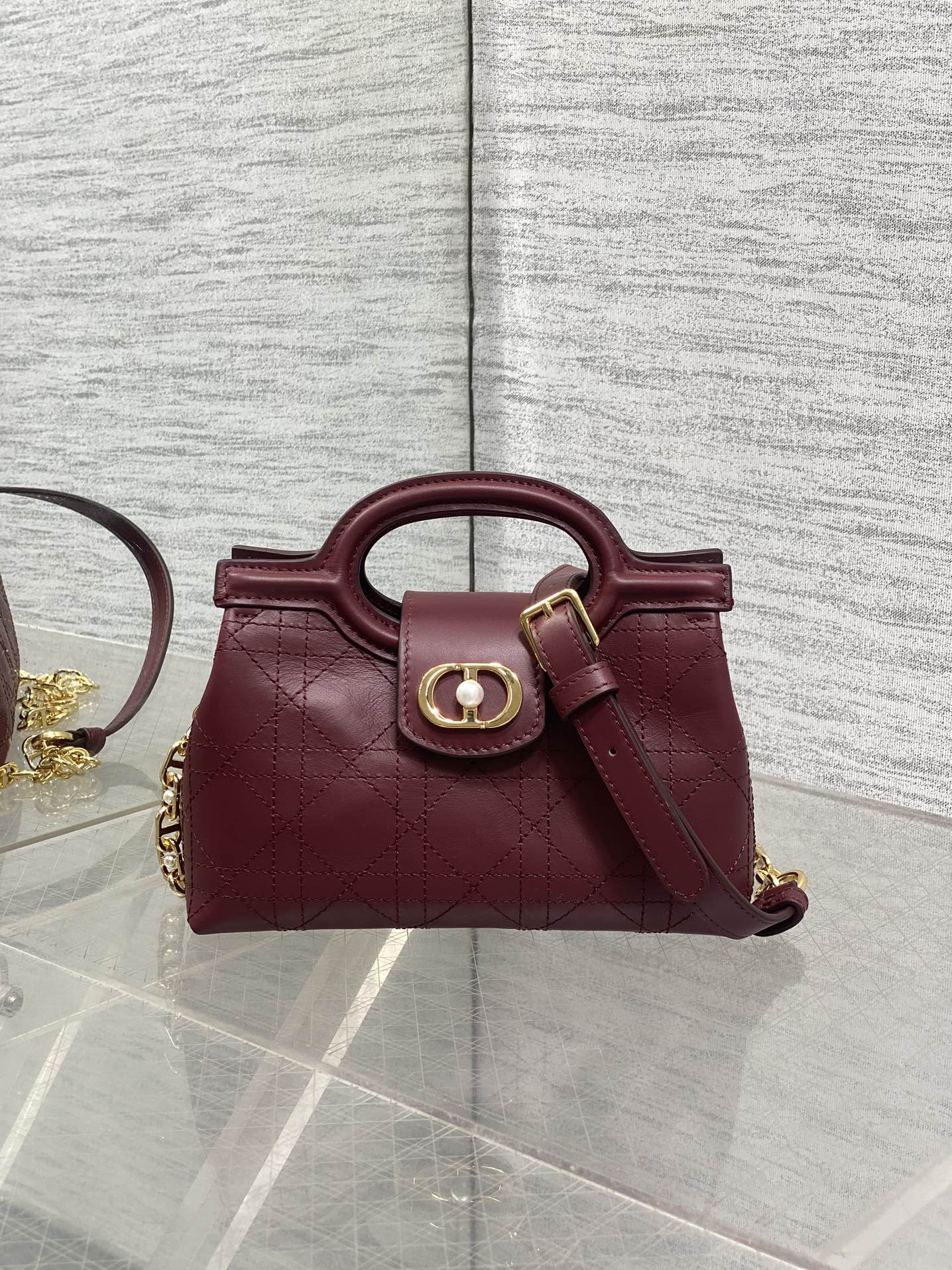 BAG-DIOR-W-LY-028