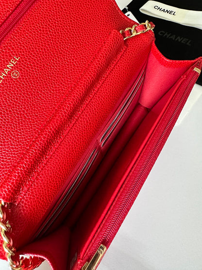 BAG-CHANEL-541