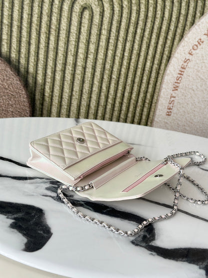 BAG-CHANEL-187