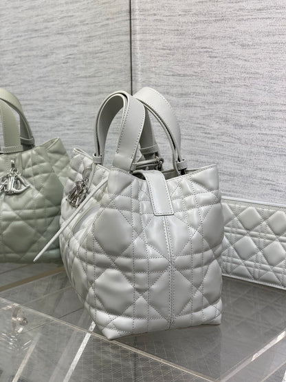 BAG-DIOR-W-LY-151