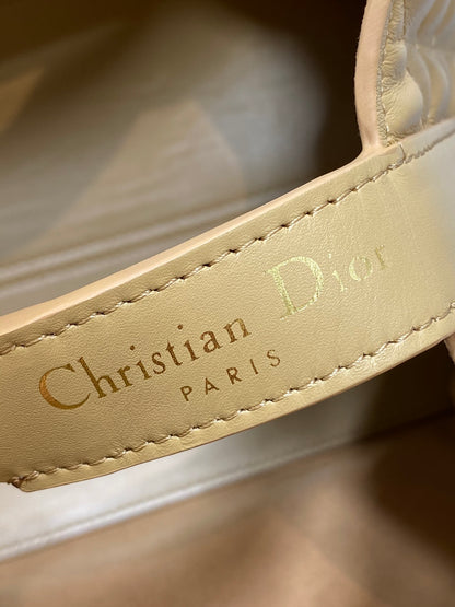 BAG-DIOR-W-LY-170