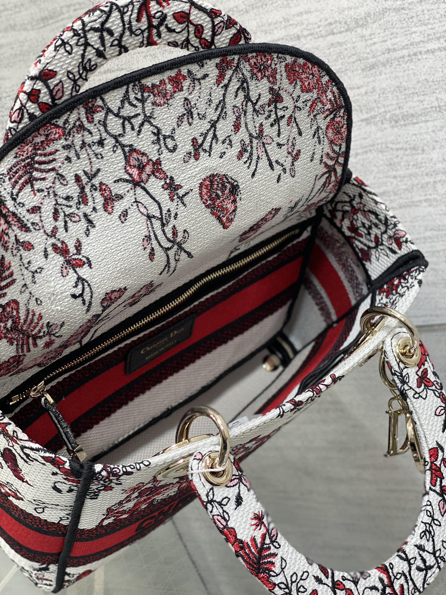 BAG-DIOR-W-LY-442