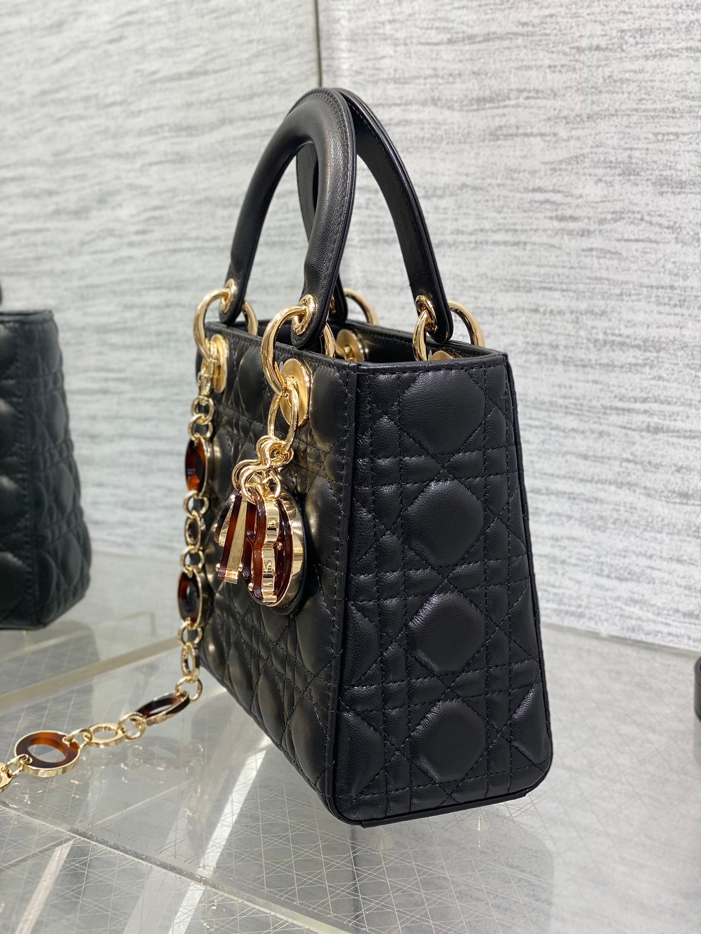 BAG-DIOR-W-LY-008