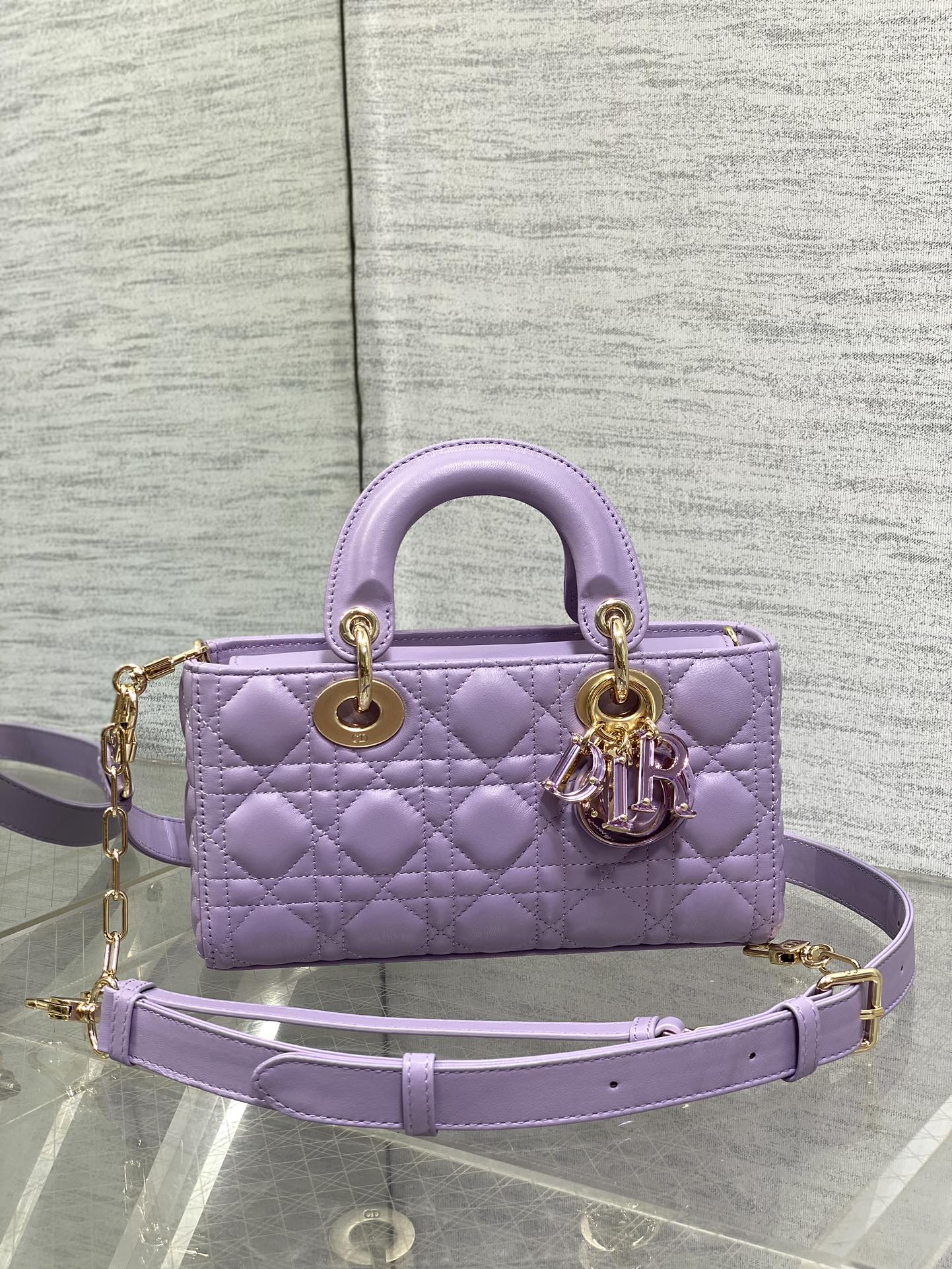 BAG-DIOR-W-LY-016