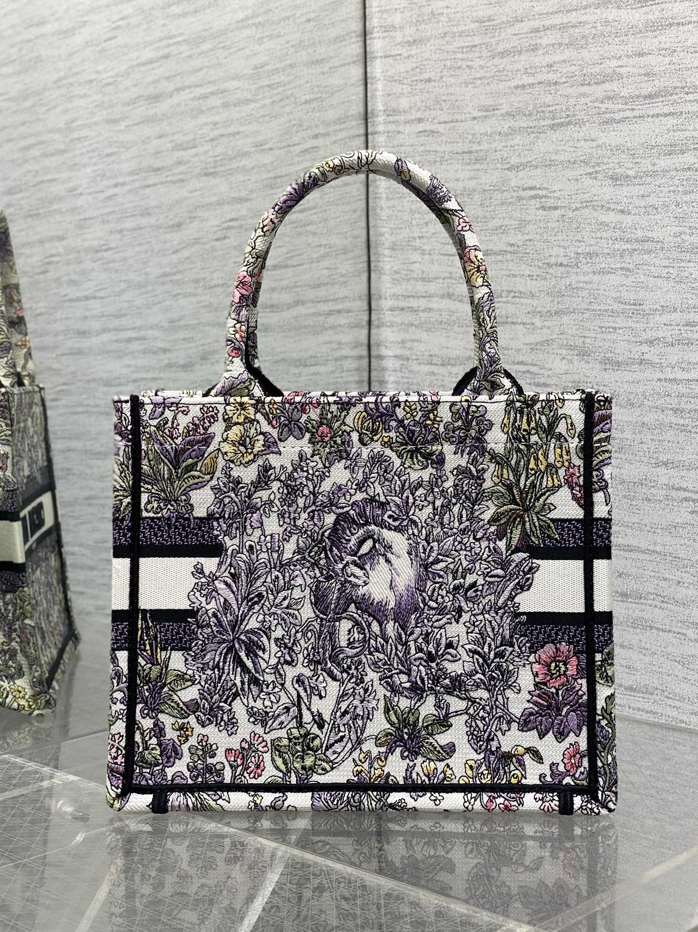 BAG-DIOR-W-LY-851