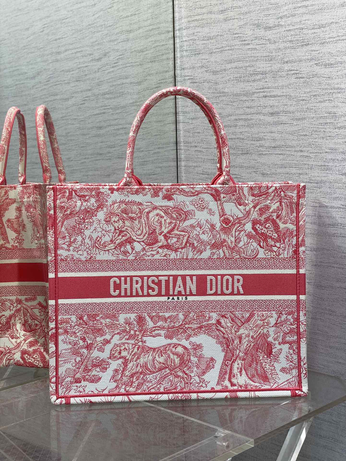 BAG-DIOR-W-LY-191