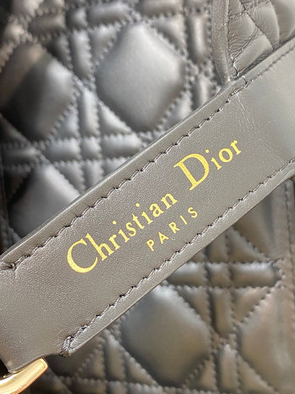 BAG-DIOR-W-LY-181