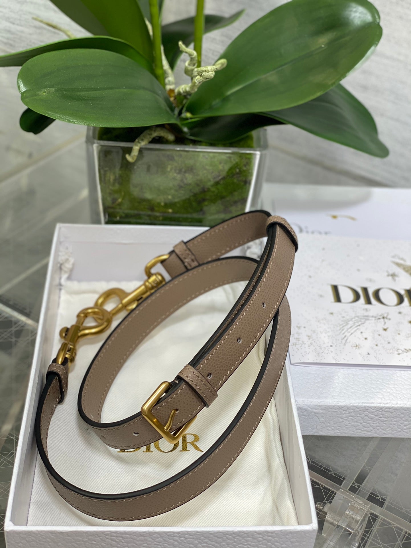BAG-DIOR-W-LY-065