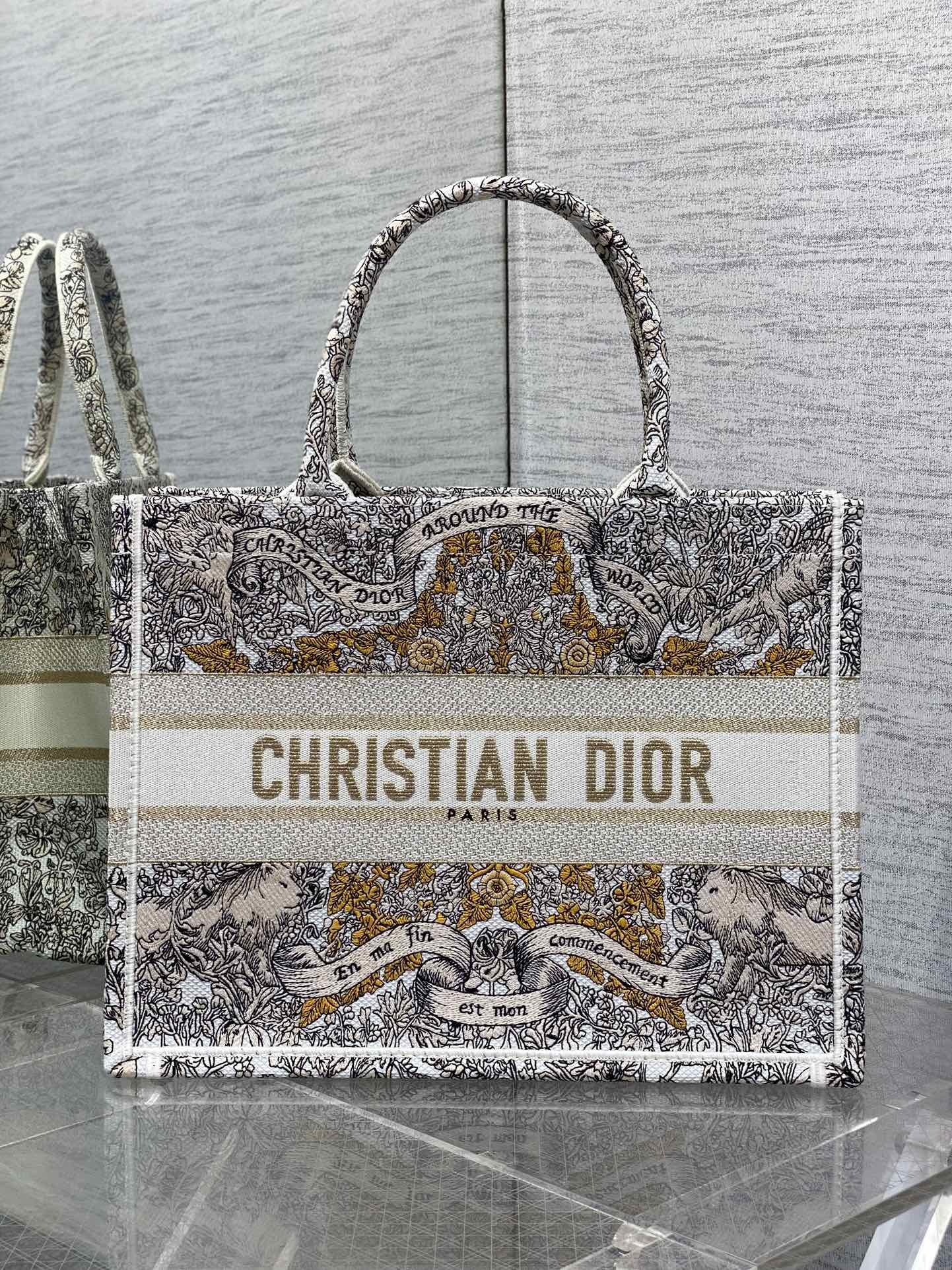 BAG-DIOR-W-LY-849