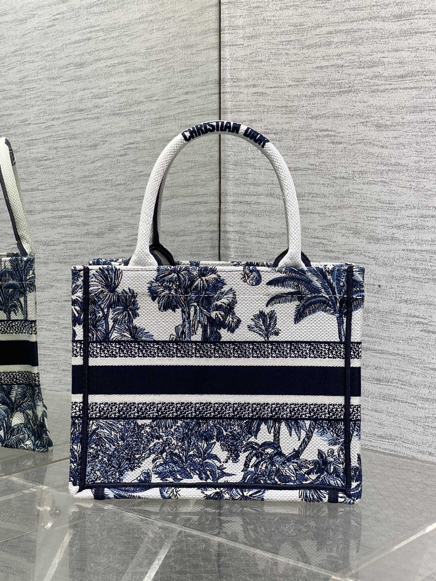 BAG-DIOR-W-LY-938