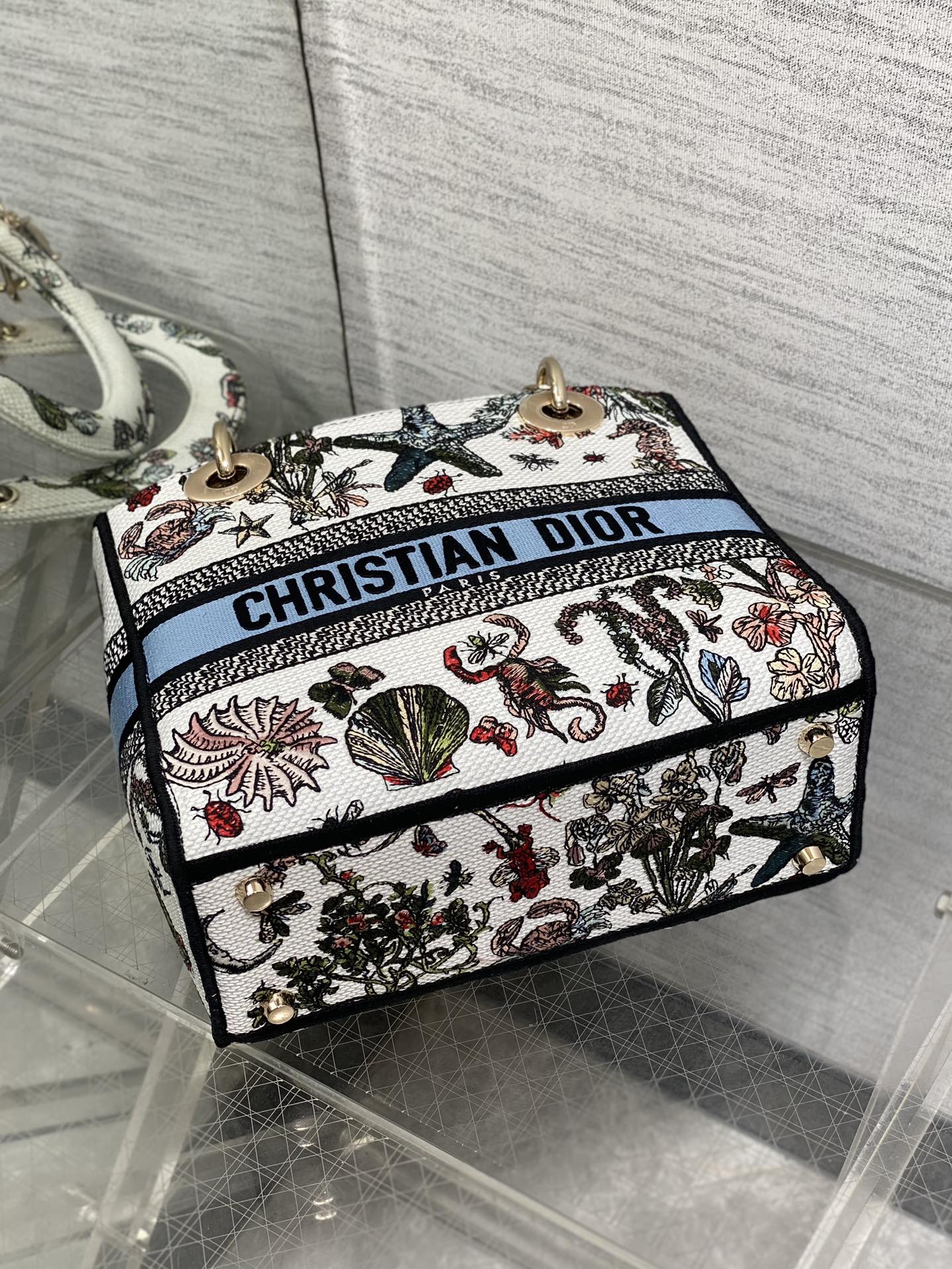 BAG-DIOR-W-LY-074