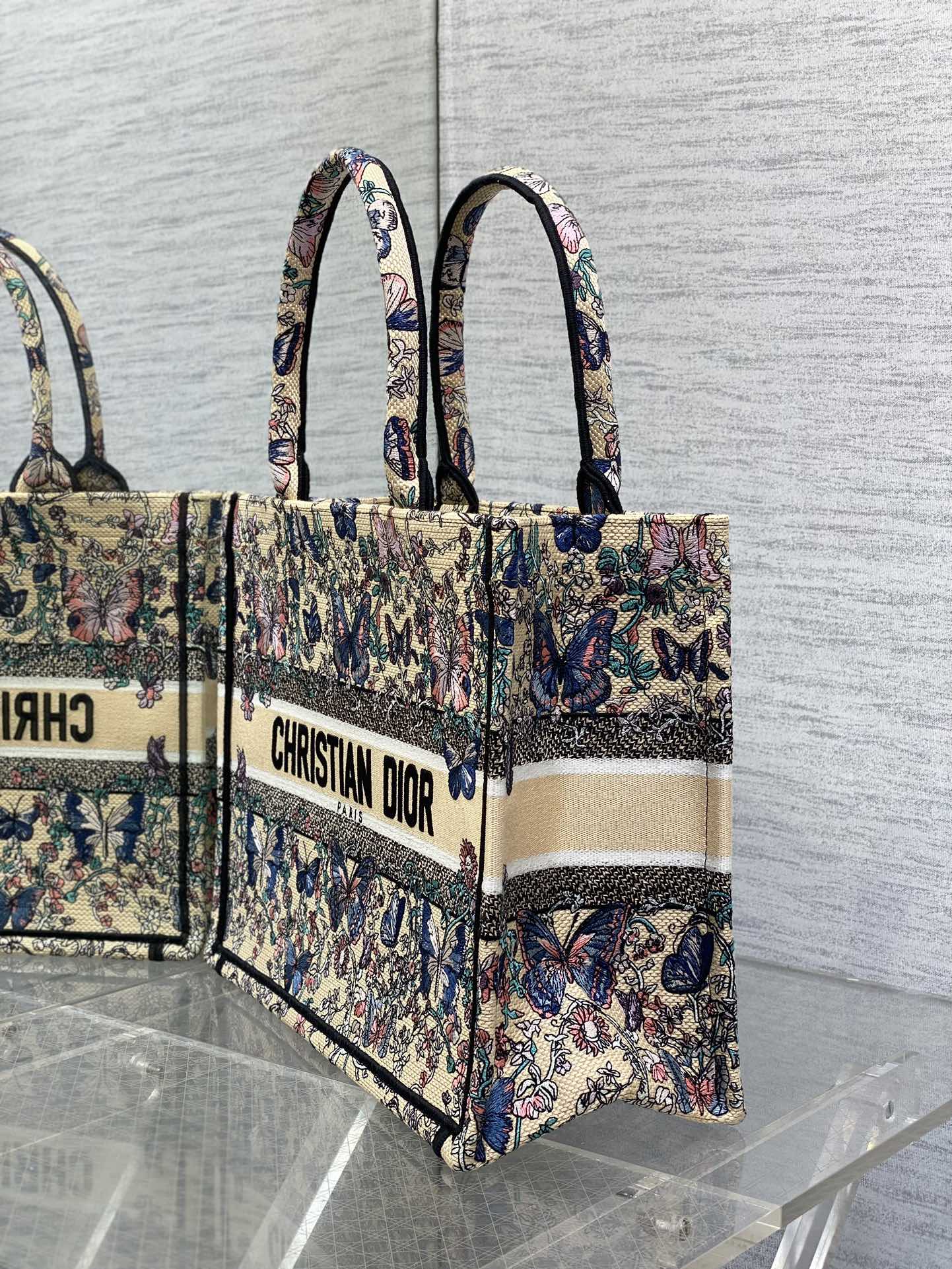 BAG-DIOR-W-LY-210