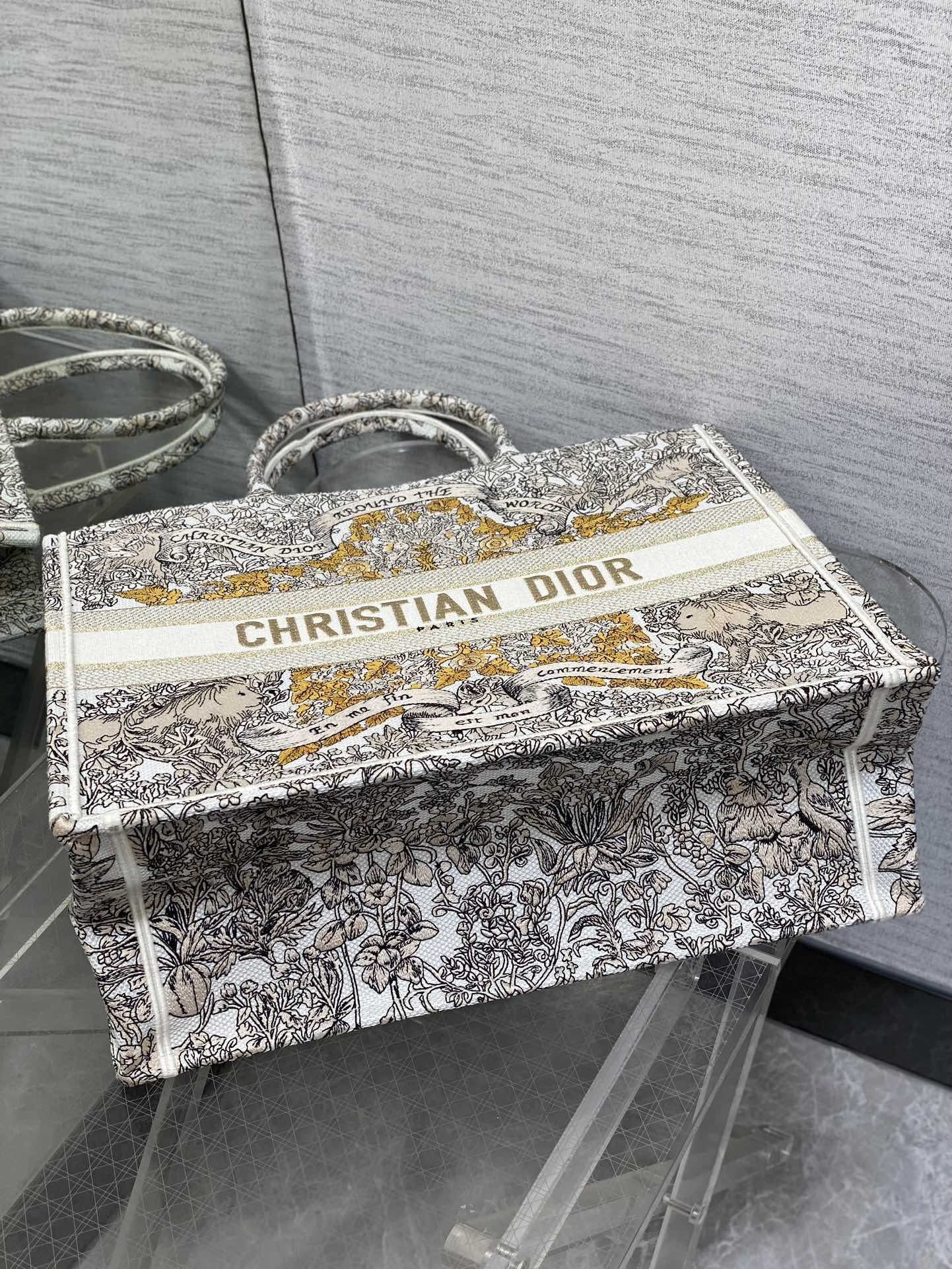 BAG-DIOR-W-LY-850