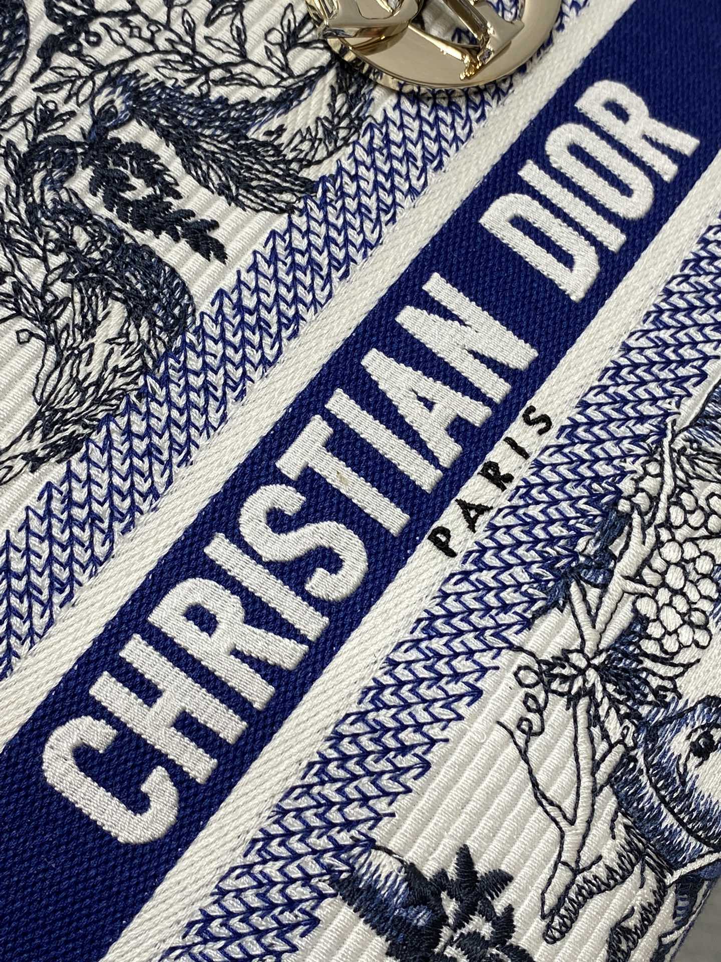 BAG-DIOR-W-LY-451