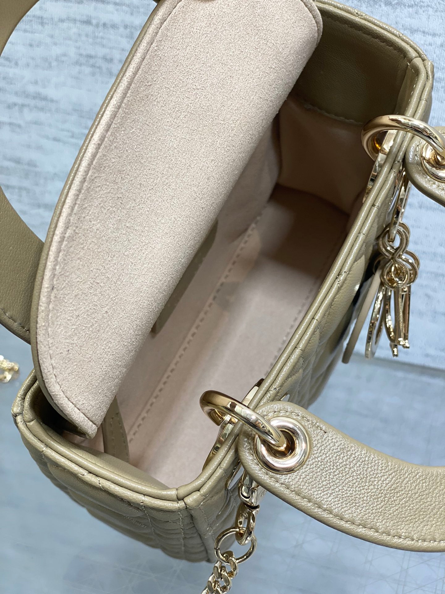 BAG-DIOR-W-LY-748