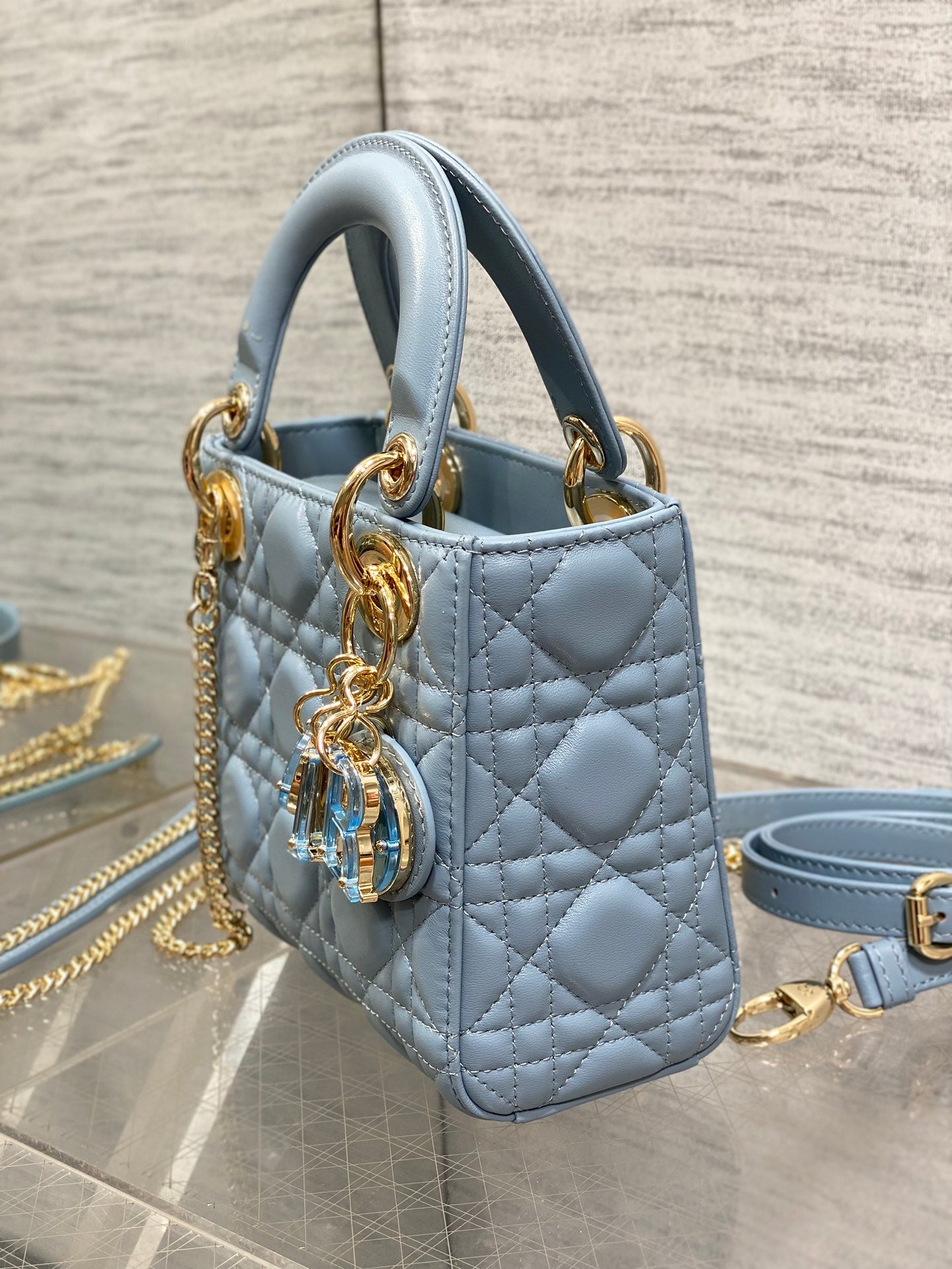 BAG-DIOR-W-LY-011