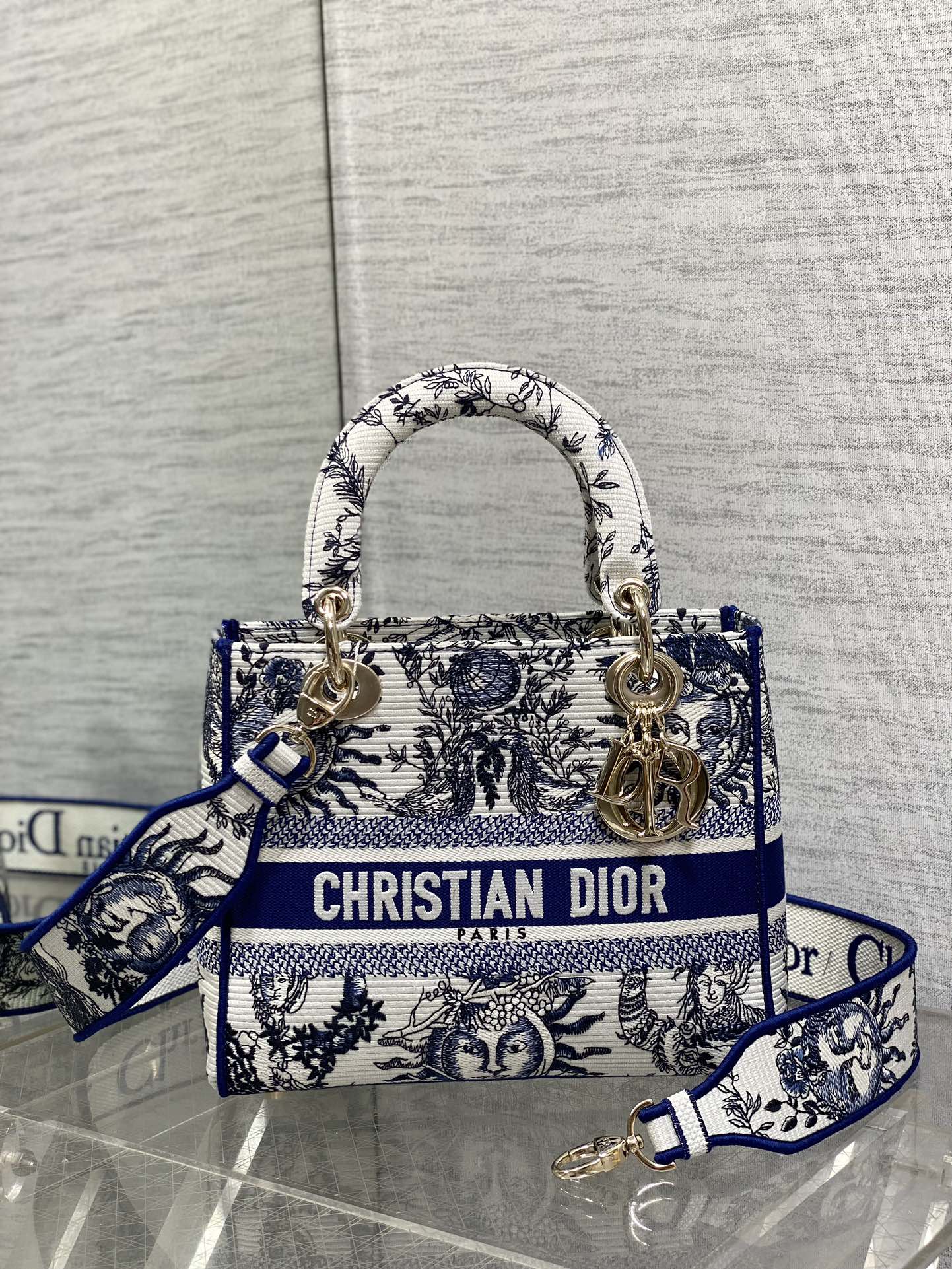 BAG-DIOR-W-LY-451
