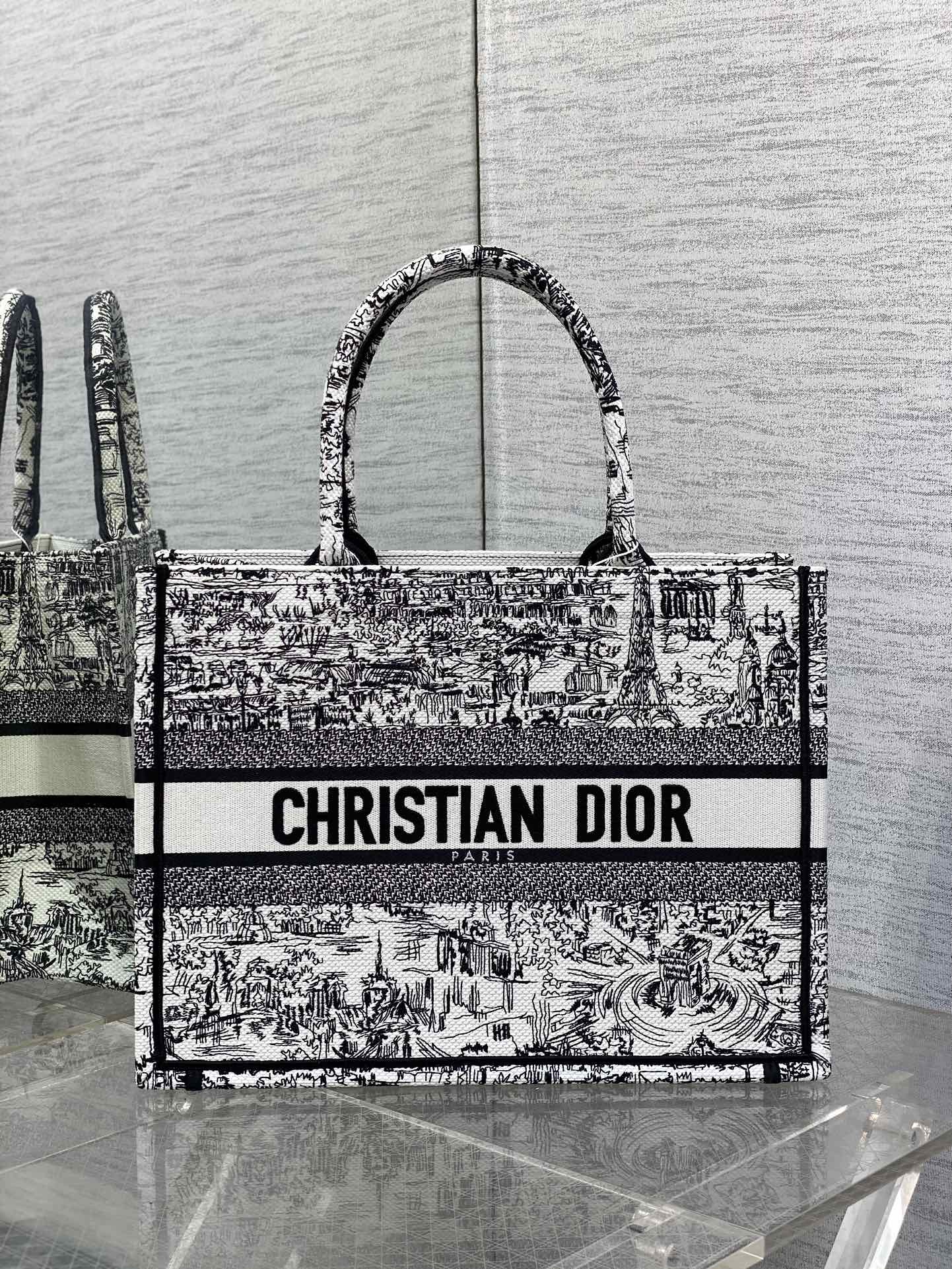 BAG-DIOR-W-LY-830
