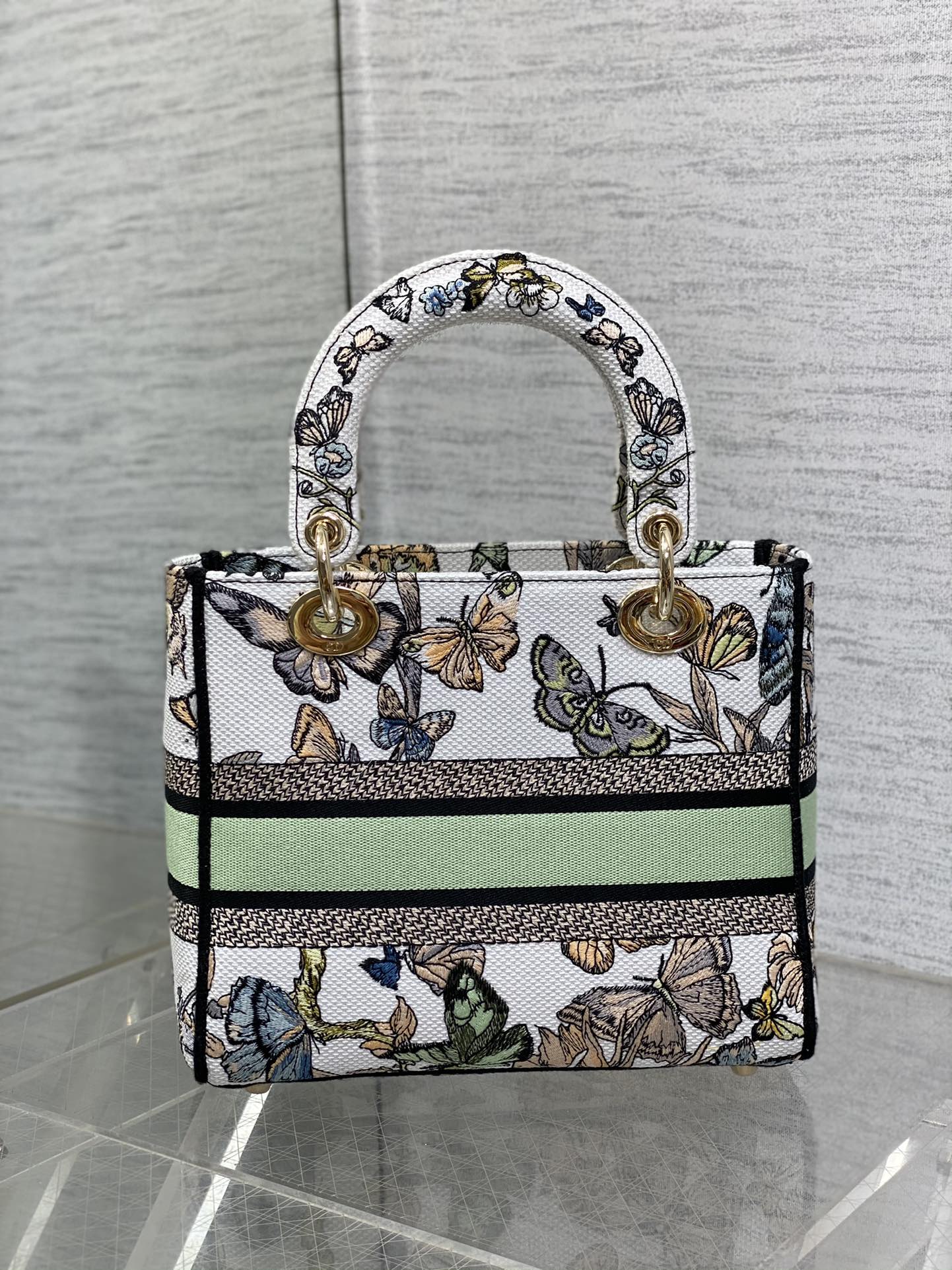 BAG-DIOR-W-LY-079