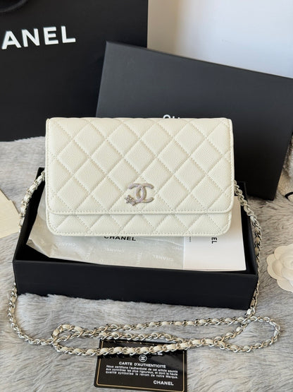 BAG-CHANEL-017