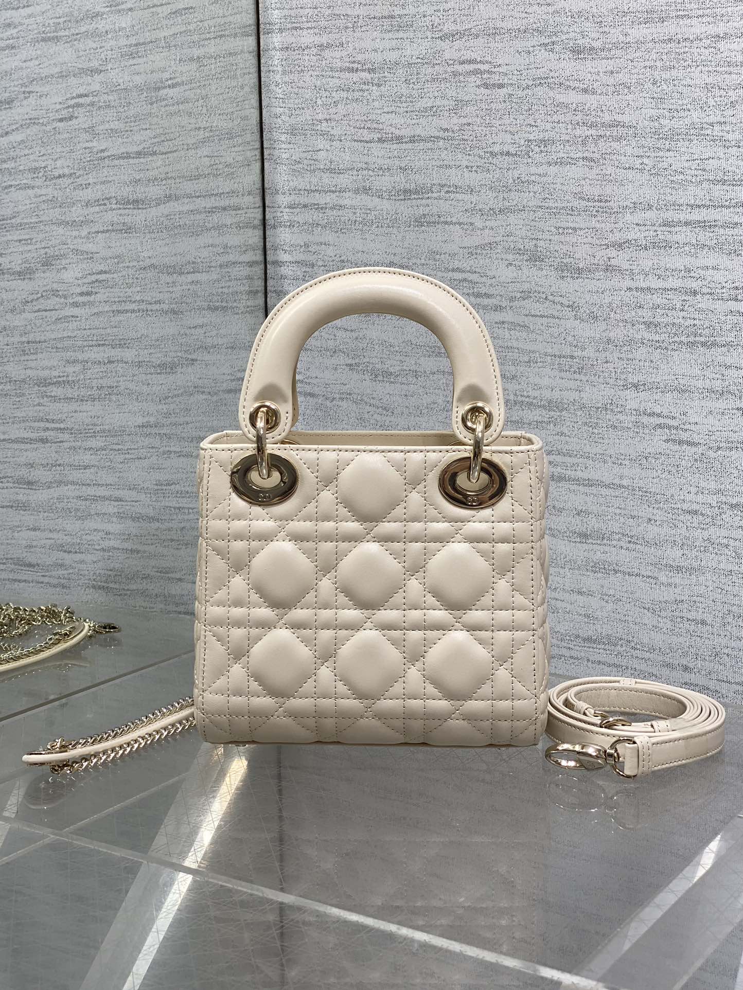 BAG-DIOR-W-LY-736