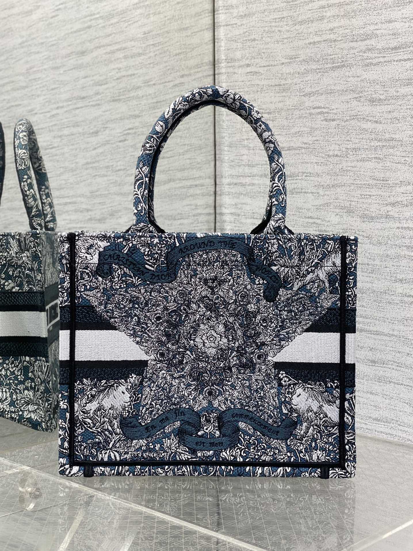 BAG-DIOR-W-LY-824