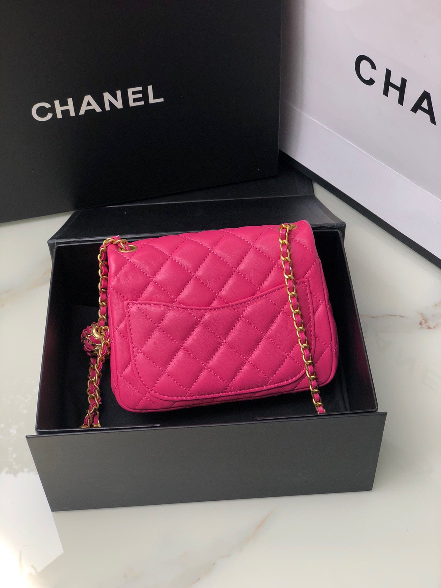 BAG-CHANEL-248