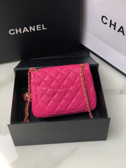 BAG-CHANEL-248