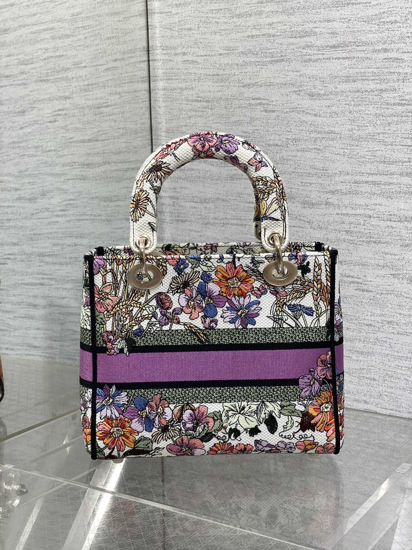 BAG-DIOR-W-LY-073