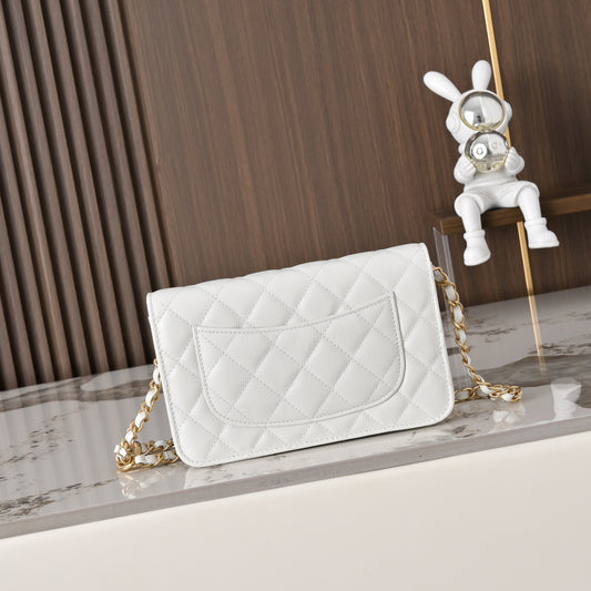 BAG-CHANEL-071