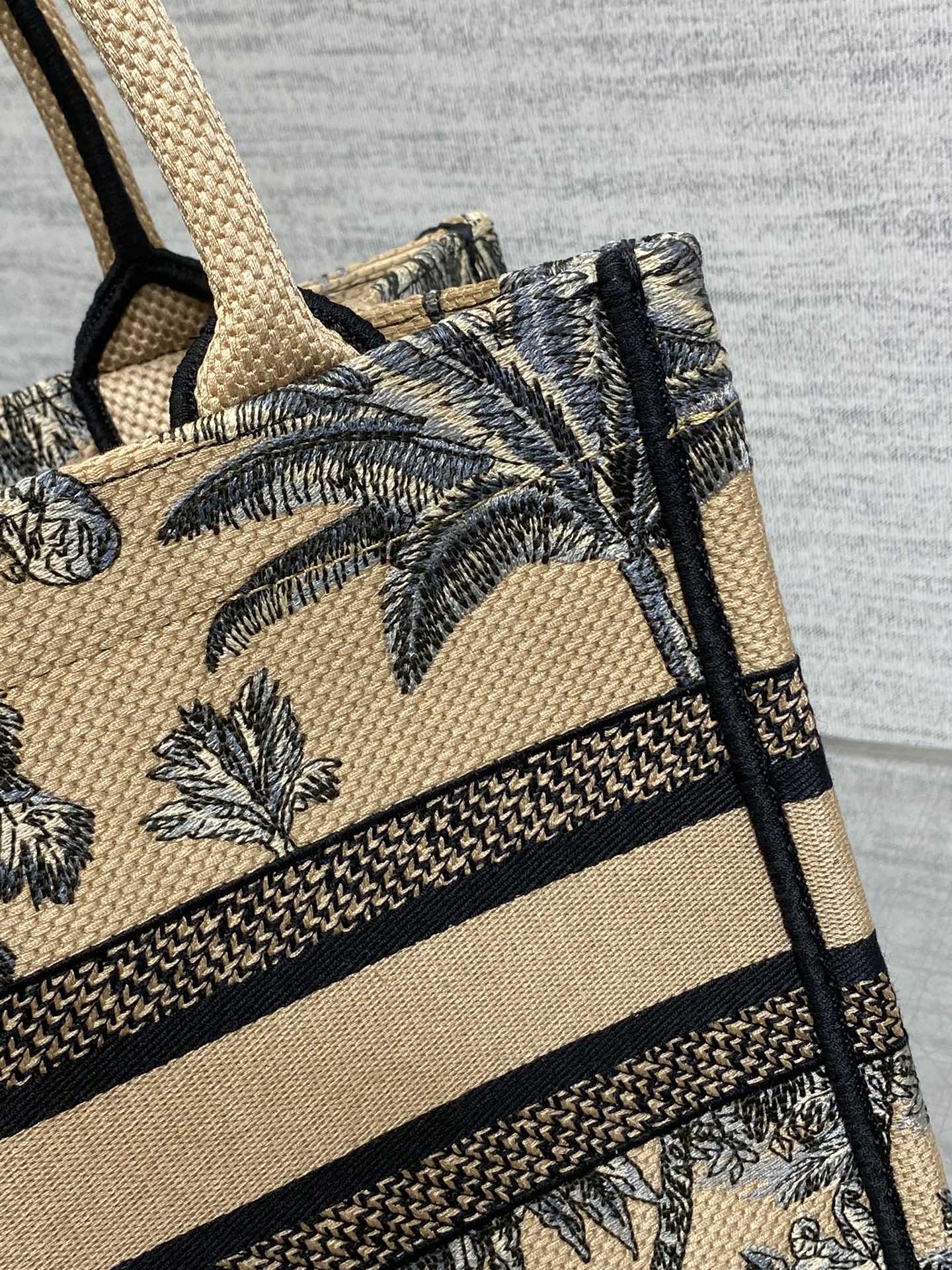 BAG-DIOR-W-LY-899