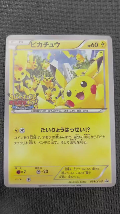 ポケモンカード~ピカチュウ プロモ コレクションカード XY-P